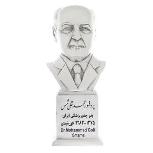 تندیس یادمان طرح پروفسور محمدقلی شمس کد S158