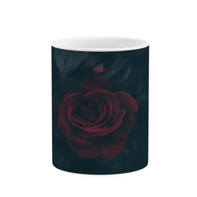 ماگ کاکتی مدل گل کد mgh16448