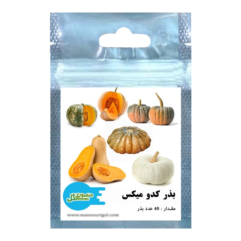 بذر کدو میکس منصوری گل کد Mk40 وزن 8 گرم