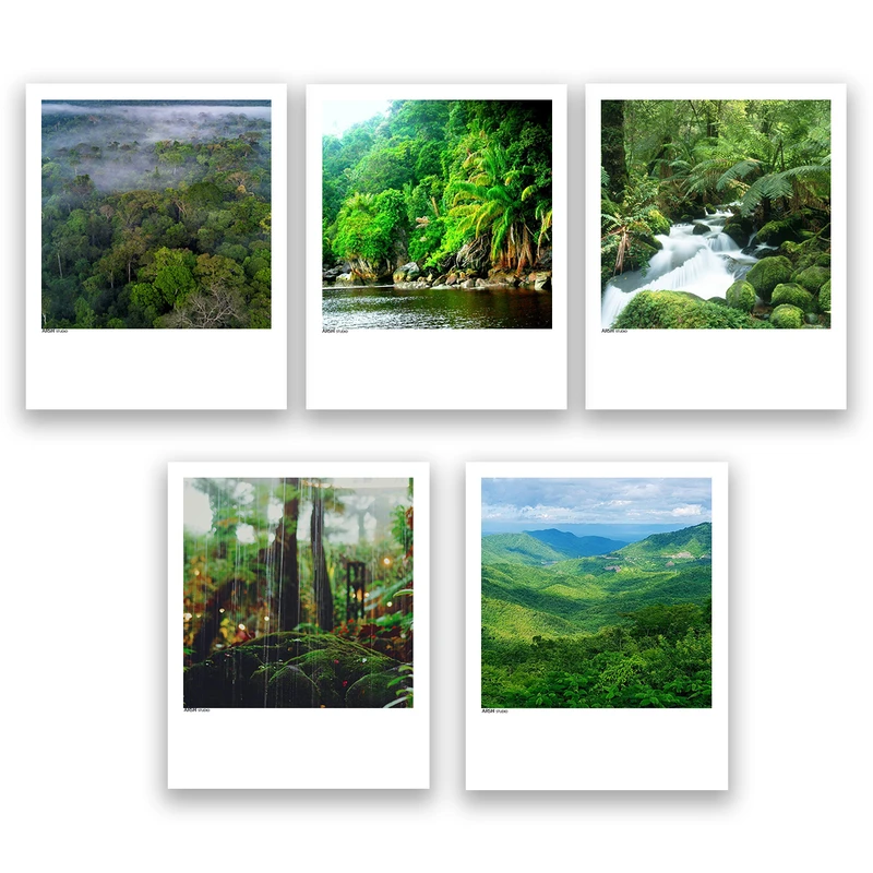 آویز تزیینی عرش مدل منظره جنگل کد Asa066 مجموعه 5عددی 