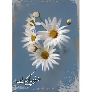 کارت پستال طرح گل مارگاریت کد 2094