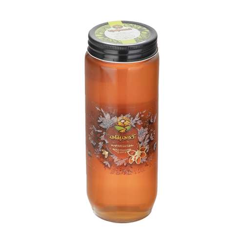 عسل گون آویشن ارگانیک کوهپناه - 1 کیلوگرم