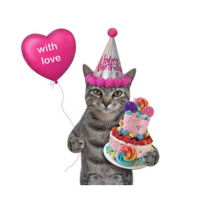 استیکر پارچه و لباس پاد آفرین مدل مینیمال گربه بامزه جذاب کد 998