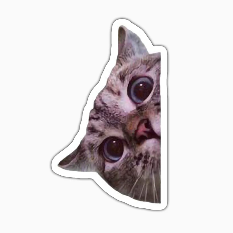 استیکر لپ تاپ و موبایل بووم طرح گربه کد ET29