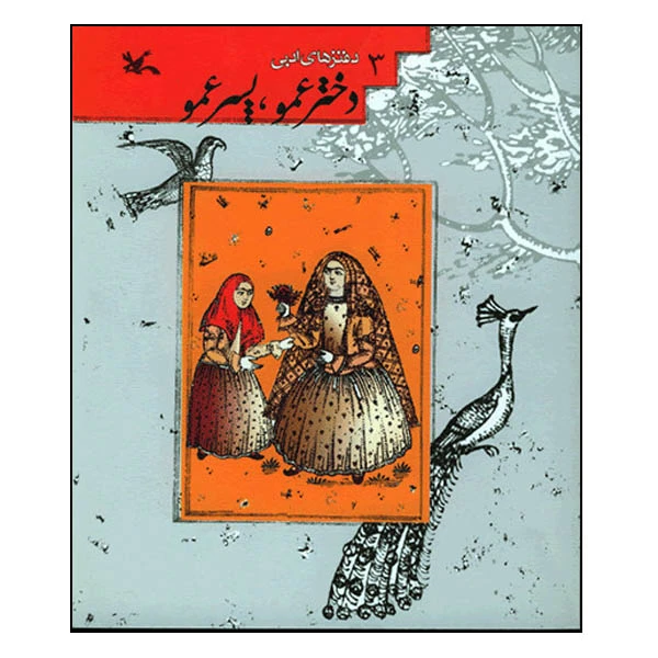 کتاب دختر عمو، پسر عمو اثر جمعی از نویسندگان انتشارات کانون پرورش فکری کودکان و نوجوانان