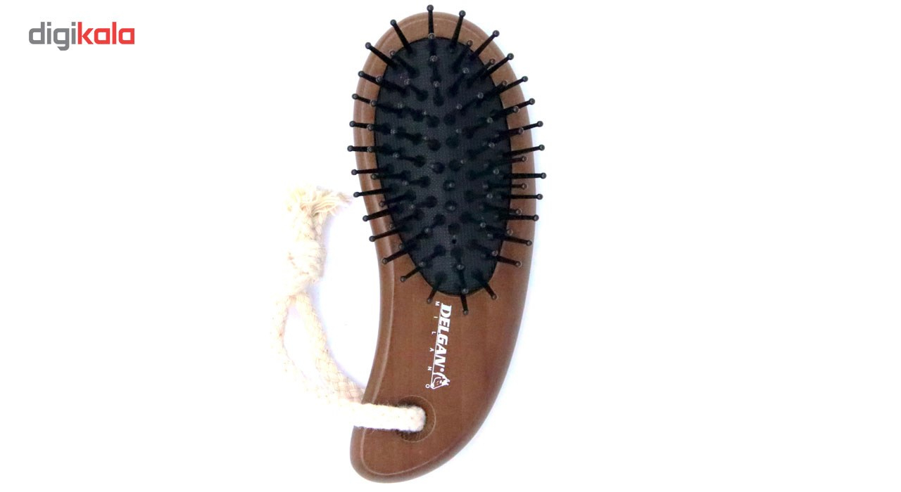 برس مو مسافرتی دلگان مدل HDW143X-015-035