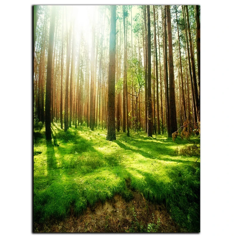 تابلو شاسی بکلیت طرح جنگل و روزنه نور مدل SH-S1141