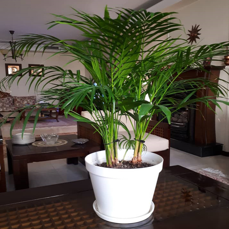 زیرگلدانی شهرآذین مدل 1036