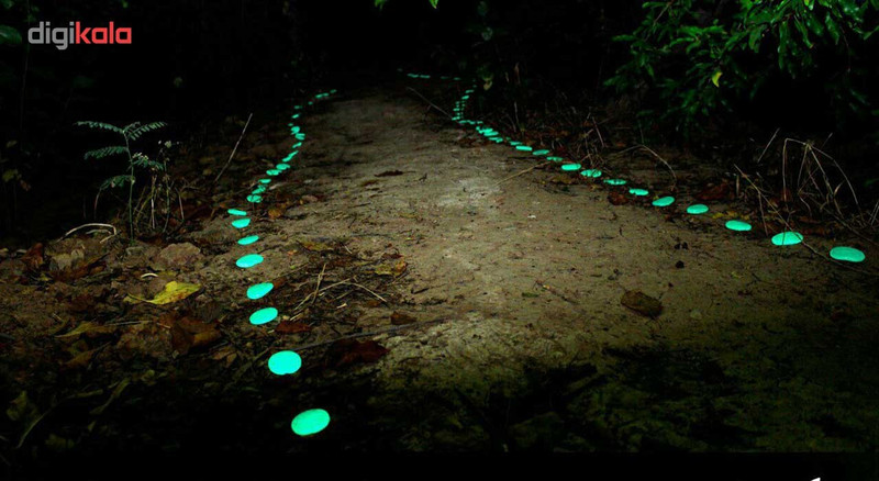 سنگ تزیینی مدل شب تاب قلوه ای بسته 1 عددی