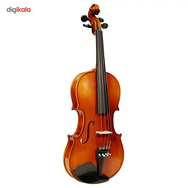 ویولن آکوستیک اشترونال مدل 29W
