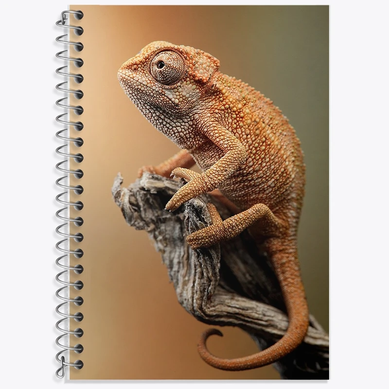 دفتر لغت 50 برگ خندالو طرح آفتاب پرست کد F1223