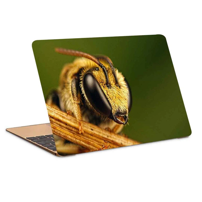 استیکر لپ تاپ طرح bee-7کد P-634مناسب برای لپ تاپ 15.6 اینچ