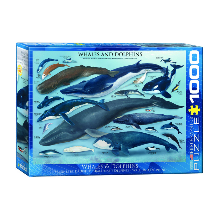 پازل 1000 تکه یوروگرافیکس پازلز مدل Whales & Dolphins كد 60000082