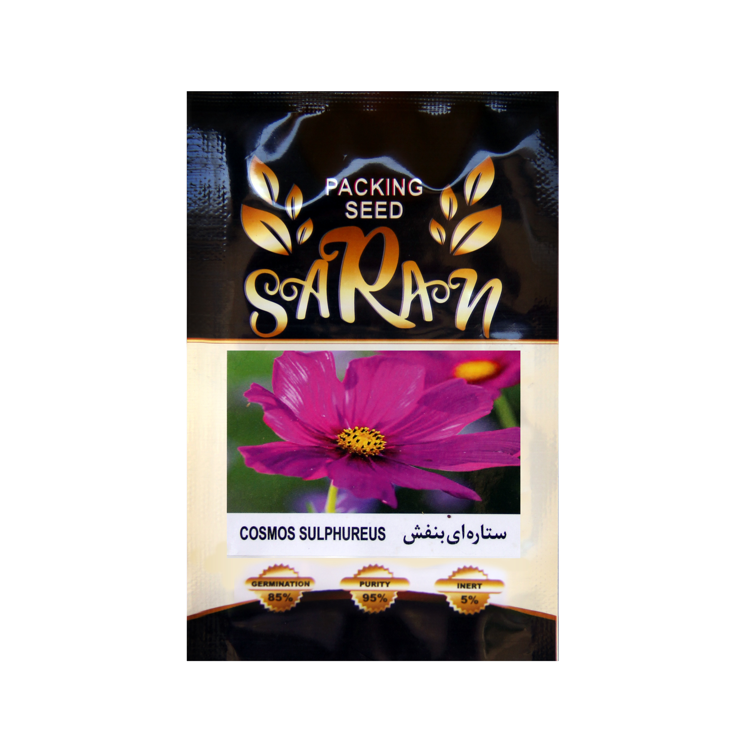 بذر ستاره ای بنفش ساران مدل AMR-068