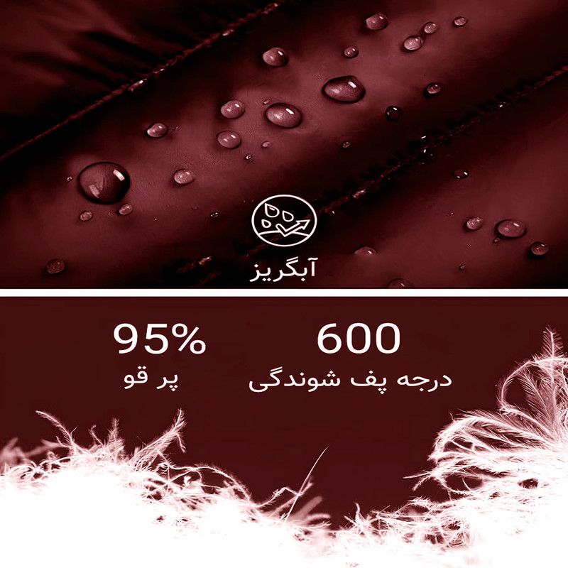 کاپشن کوهنوردی مردانه مدل پر قو