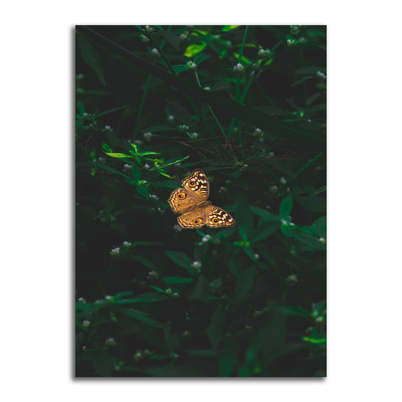 تابلو شاسی مدل منظره طبیعت و پروانه کد 0217