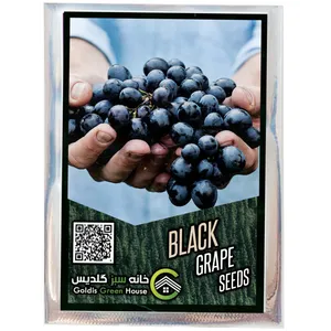 بذر انگور سیاه خانه سبز گلدیس کد 31