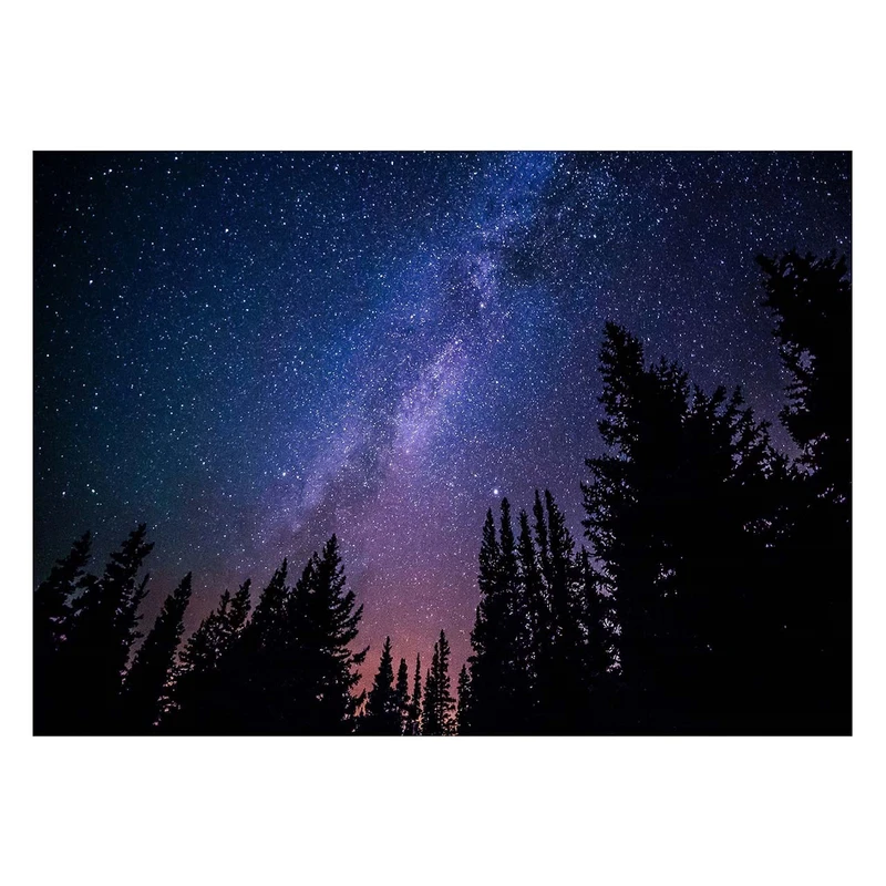 تابلو شاسی ونسونی طرح Night at Jungle سایز 30×40 سانتی متر