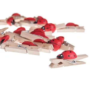 Decorative Lady Bird Shaped Wooden Pig Pack Of 24