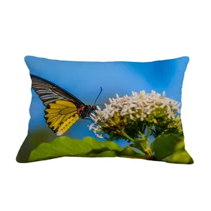 رو بالشی مدل   پروانه کد 5505