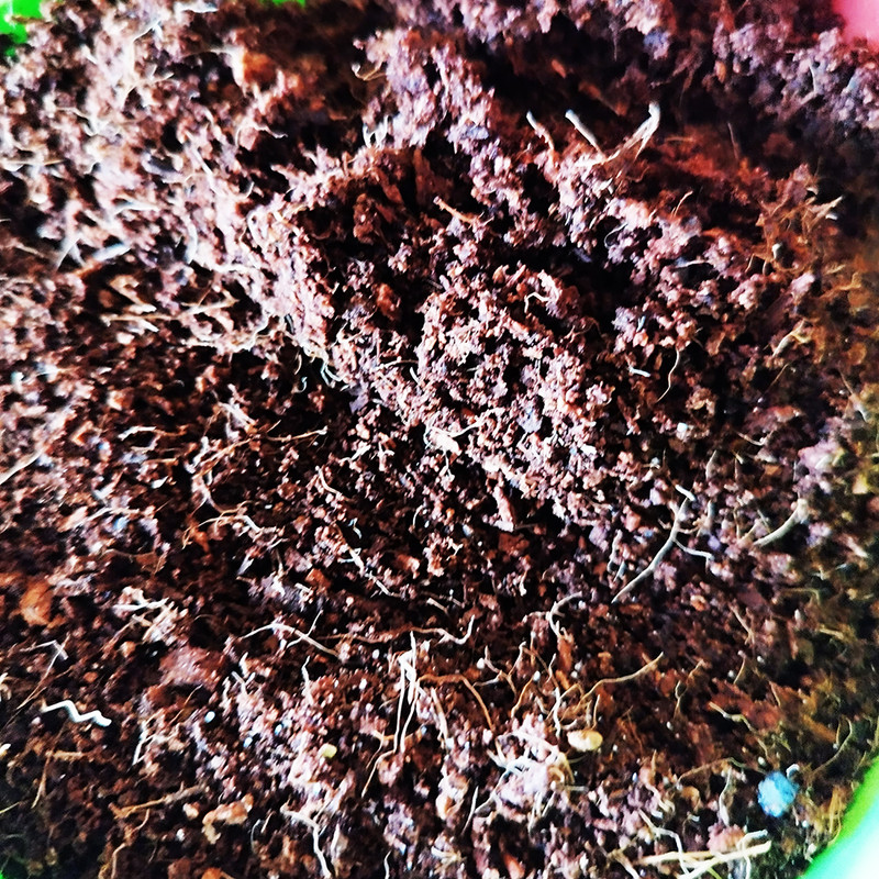 کوکوپیت رویان گل مدل KP5 حجم 5لیتر