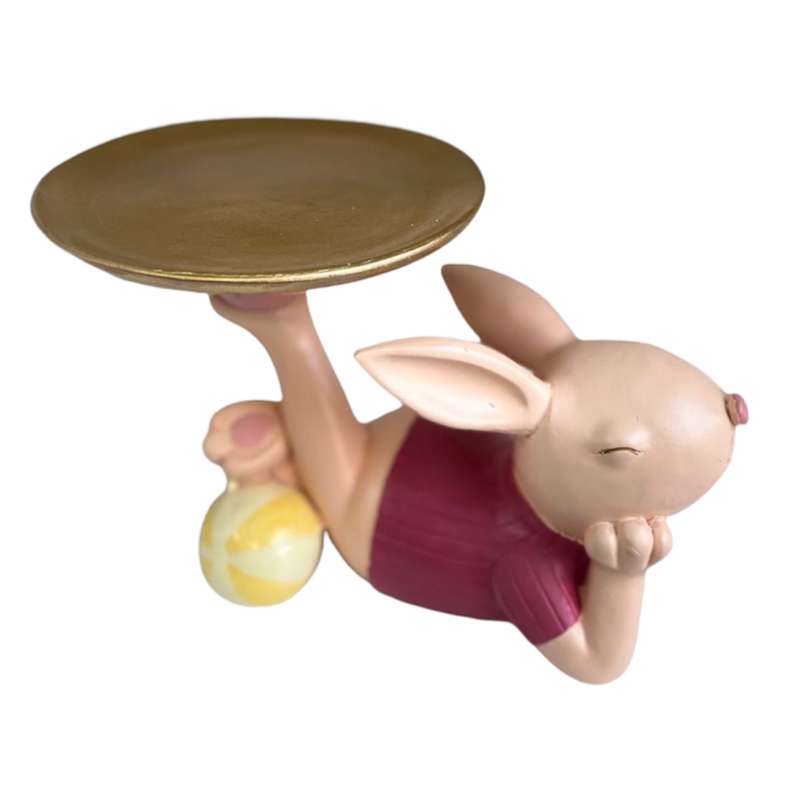 مجسمه مدل خرگوش سيني دار