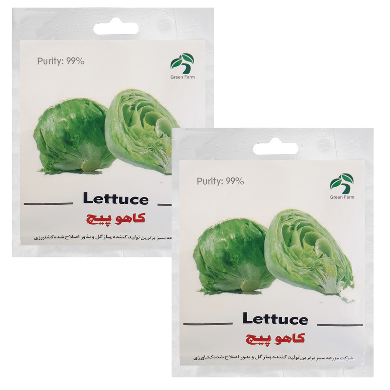 بذر کاهو پیچ گرین فارم کد 032 بسته 2 عددی بذر کاهو پیچ گرین فارم کد 032 بسته 2 عددی