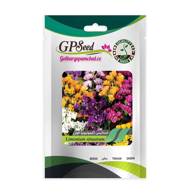 بذر گل استاتیس لیمونیوم پابلند الوان گلبرگ پامچال کد GPF-014