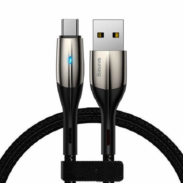 کابل شارژ USB به USB -C باسئوس مدل A02 طول 1 متر