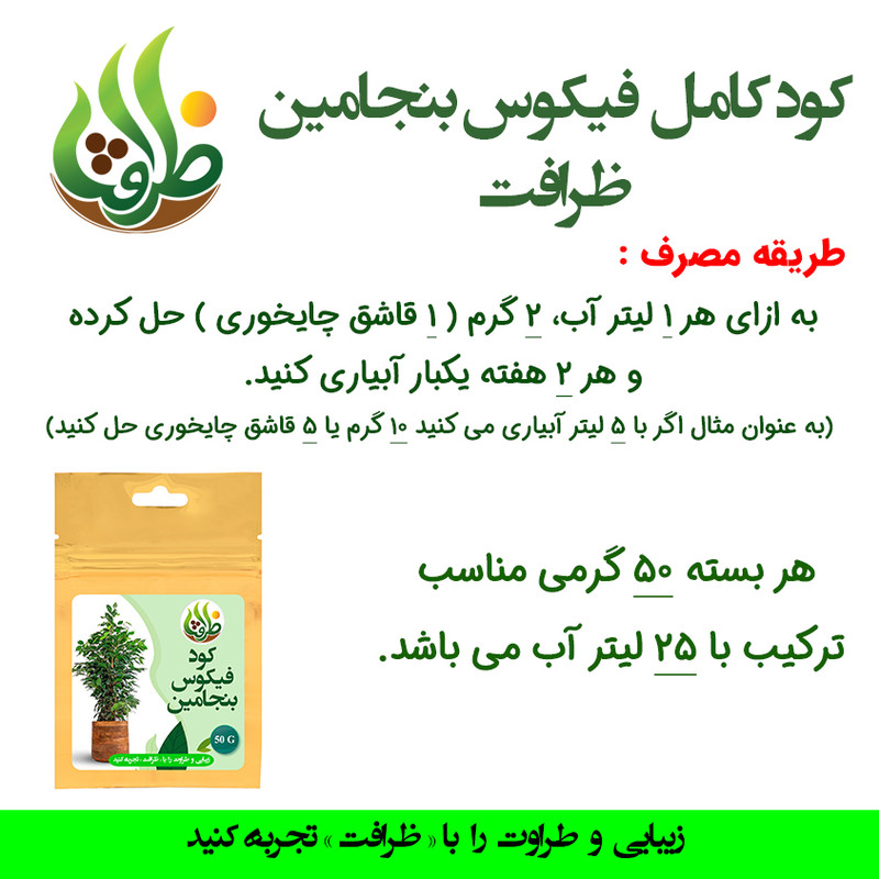کود کامل تقویتی فیکوس بنجامین ظرافت مدل KO20989 وزن 50 گرم