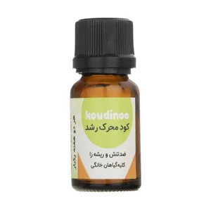 کود مایع محرک رشد ضد تنش و ریشه زا کودینو مدل 2001 حجم 20 میلی لیتر
