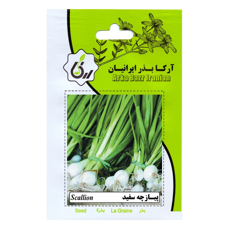 بذر پیازچه سفید آرکا بذر ایرانیان کد ARK-213