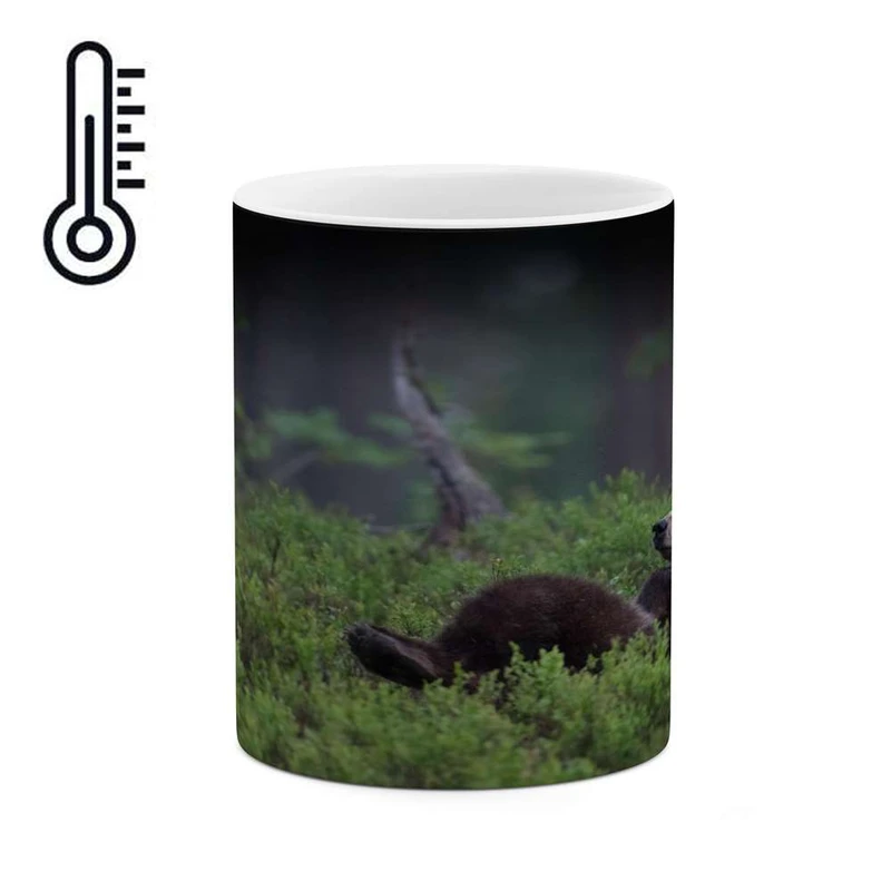 ماگ حرارتی کاکتی مدل خرس کد mgh14165