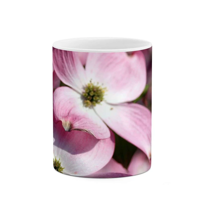 ماگ کاکتی مدل گل کد mgh12123