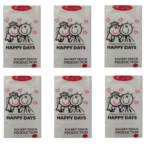 دستمال کاغذی جیبی 15 برگ گلریز مدل soft بسته 6 عددی