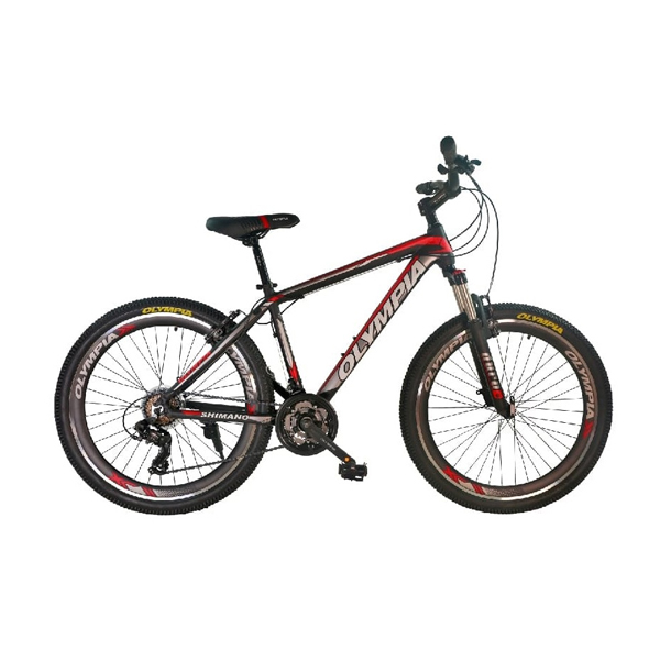 دوچرخه کوهستان المپیا مدل Spirit کد 26450 سایز 26