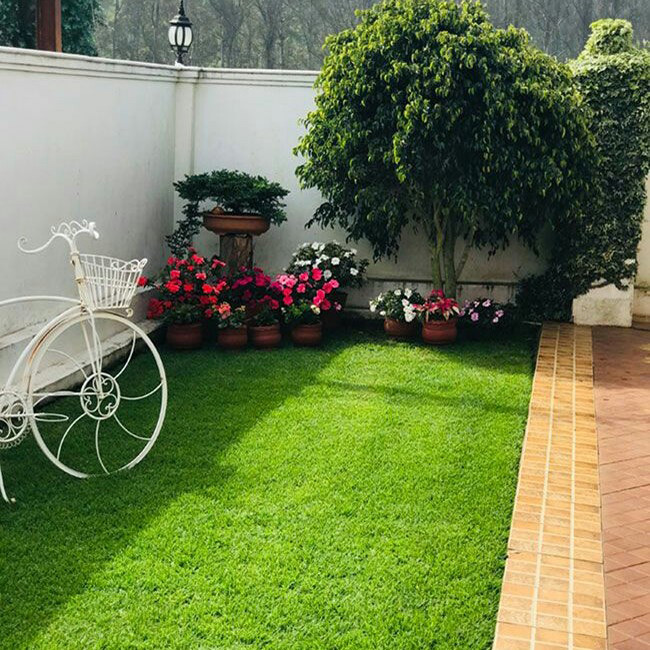 چمن مصنوعی مدل رویال 25 سایز 2x2 متر