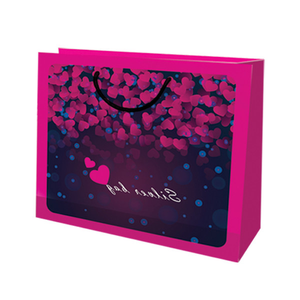 ساک دستی مدل 10023 بسته 12 عددی