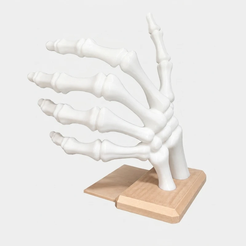 نگهدارنده کتاب طرح دست اسکلت