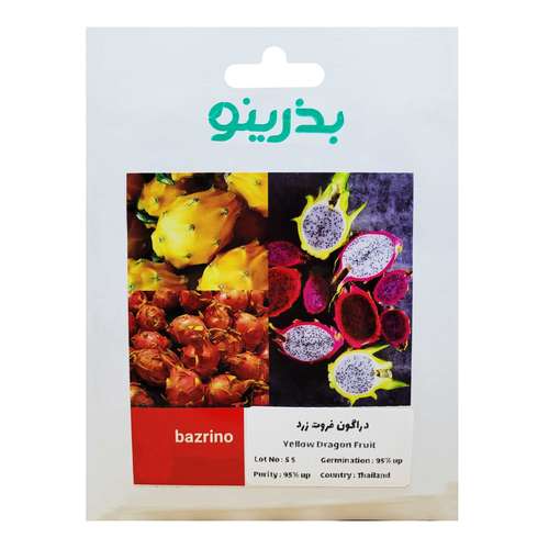 بذر میوه دراگون فروت زرد بذرینو کد BZNO-111