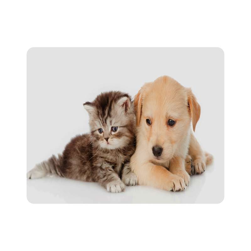 ماوس پد اطلس آبی  طرح سگ و گربه  مدل T7724