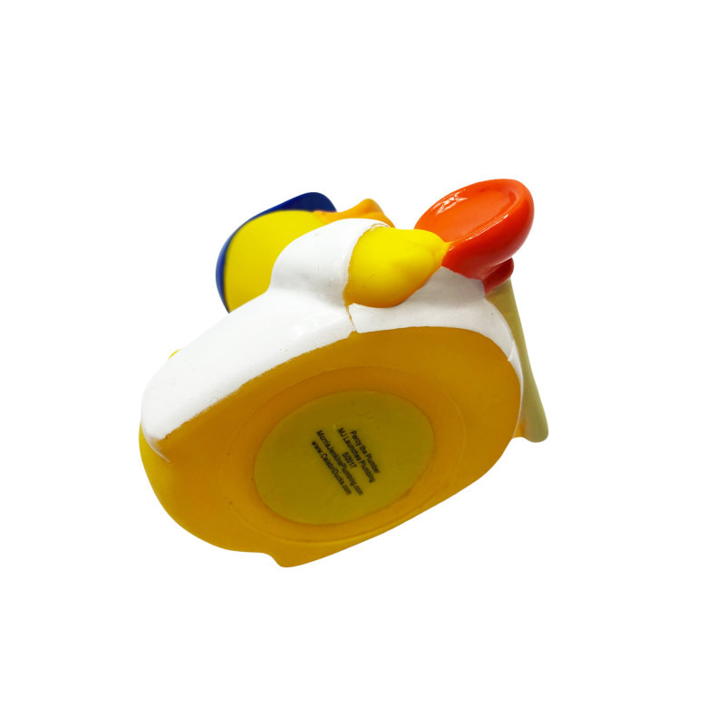 فیگور مدل اردک نگهبان شناور روی اب