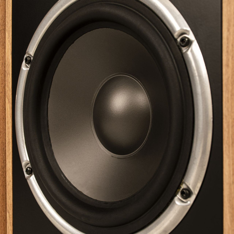 پخش کننده خانگی نظریان الکترونیک مدل A101