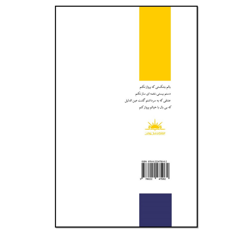 کتاب تبلور یک رویا اثر تکتم صباغ کاخکی انتشارات نسل روشن