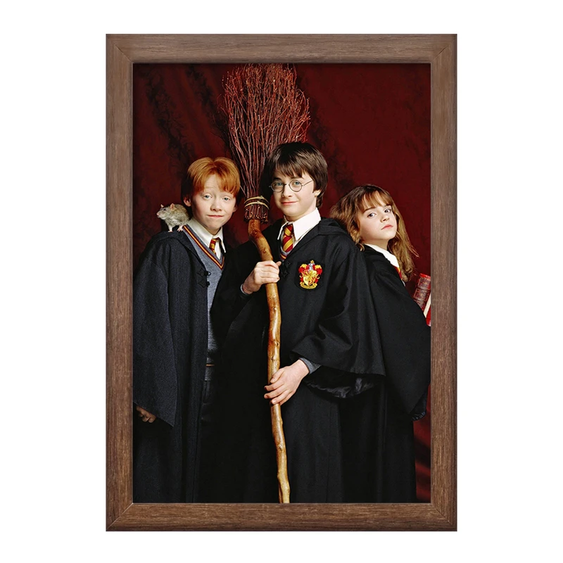 تابلو خندالو طرح رون و هرمیون و هری پاتر Harry Potter  کد 2914