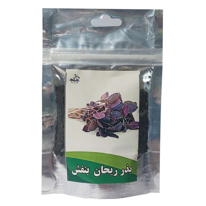 بذر ریحان بنفش کد B15