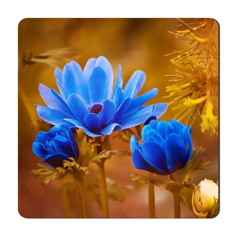 مگنت گالری باجو طرح گل کد flower 59