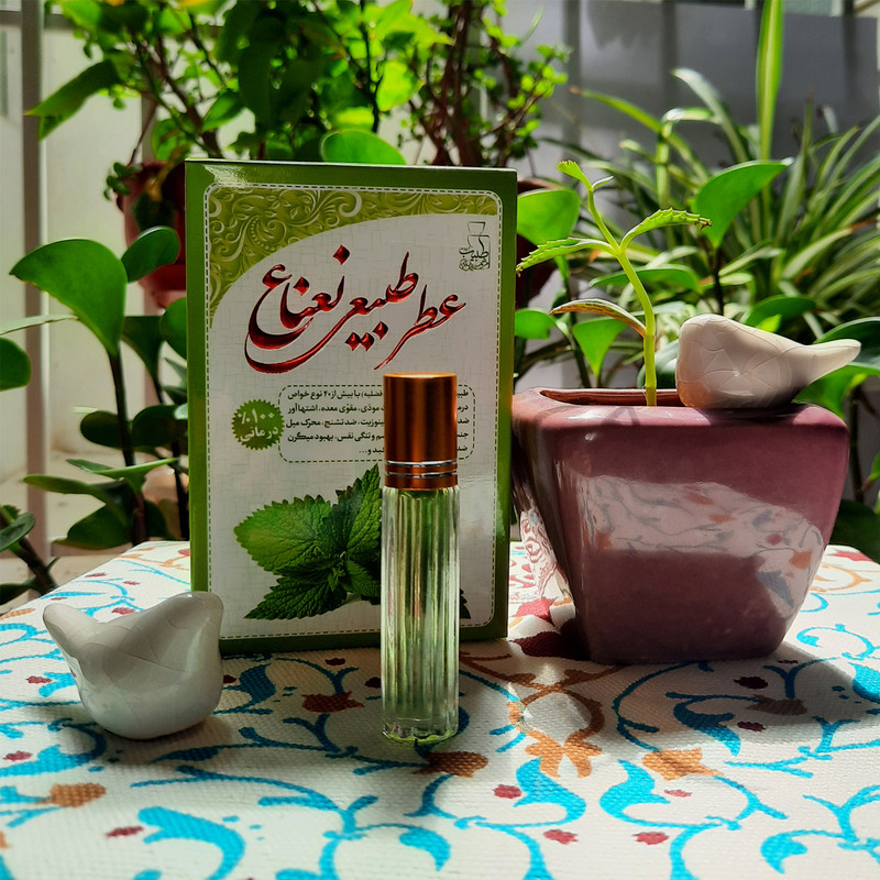 عطر جیبی طبیب مدل نعناع حجم 4 میلی لیتر