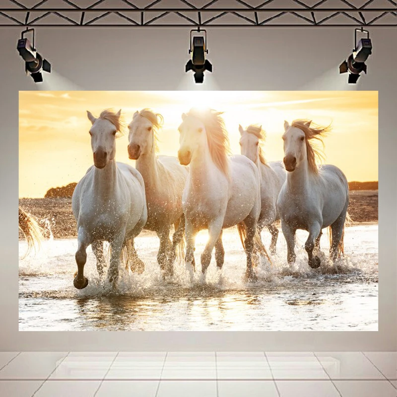 پوستر دیواری طرح اسب مدل ساحل کد PD130869