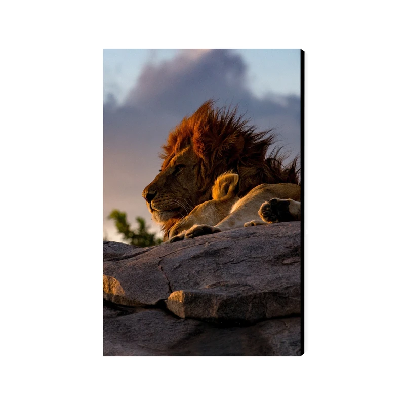 تابو شاسی عرش مدل فانتزی شیر کد As4267